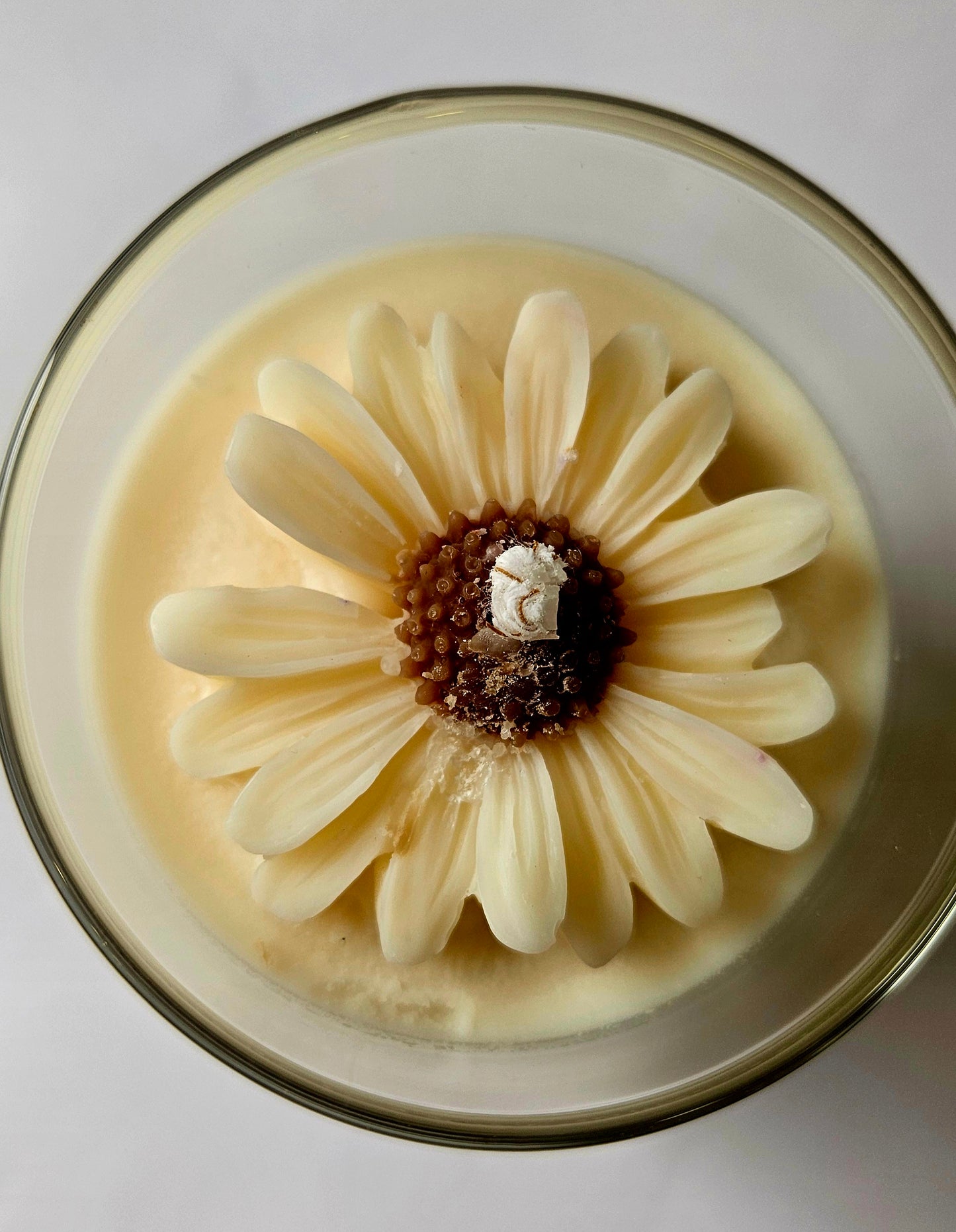 Daisy bloom