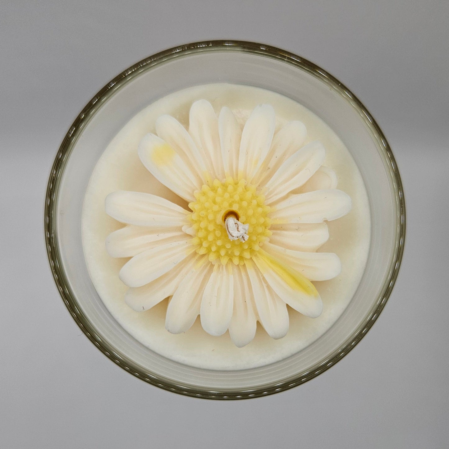 Daisy bloom