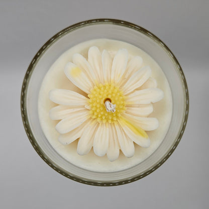 Daisy bloom