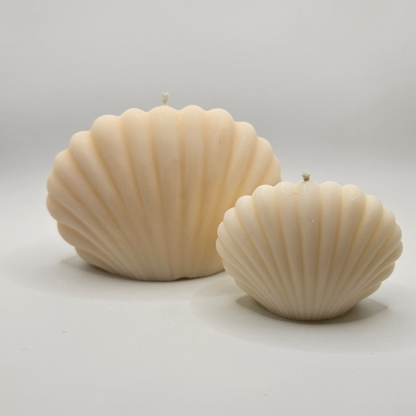 Κοχύλι Κερί