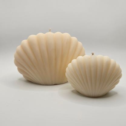 Κοχύλι Κερί