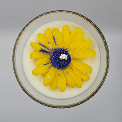 Daisy bloom
