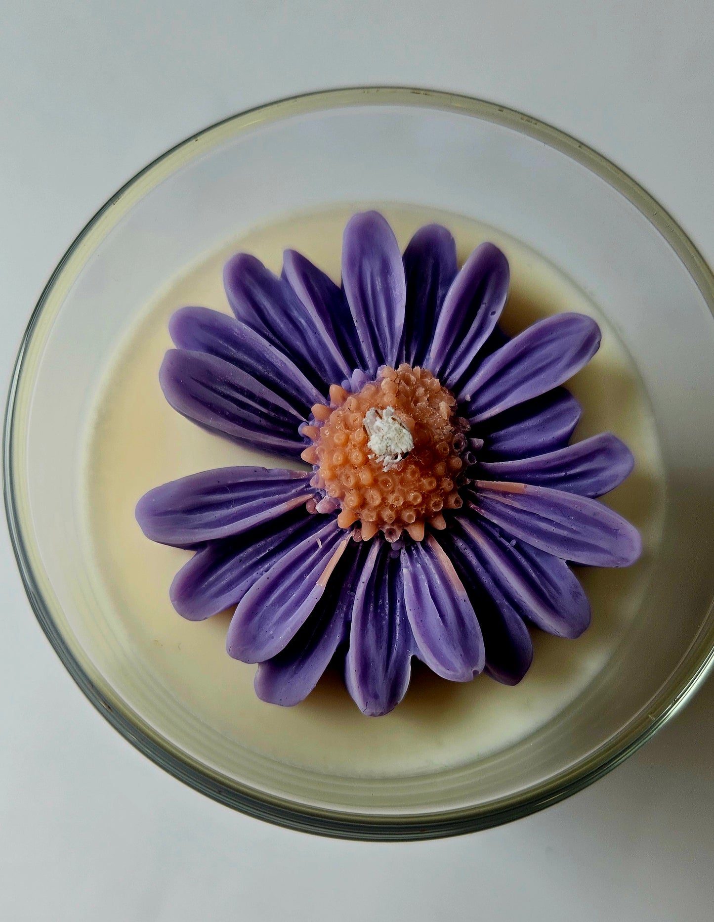 Daisy bloom