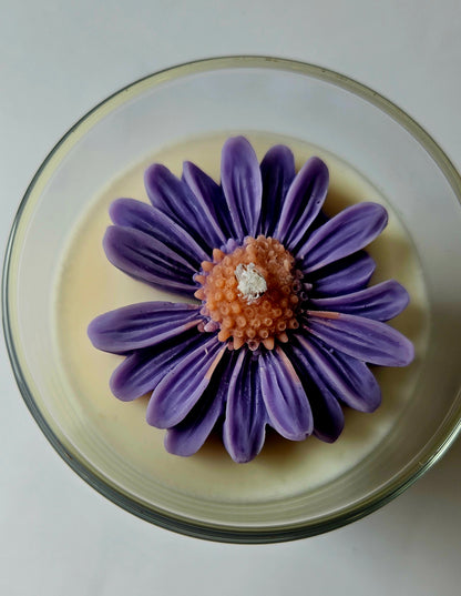Daisy bloom
